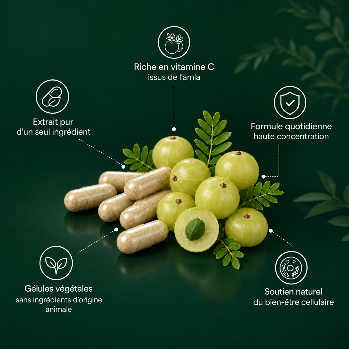 Gélule d'Amla Superfruit