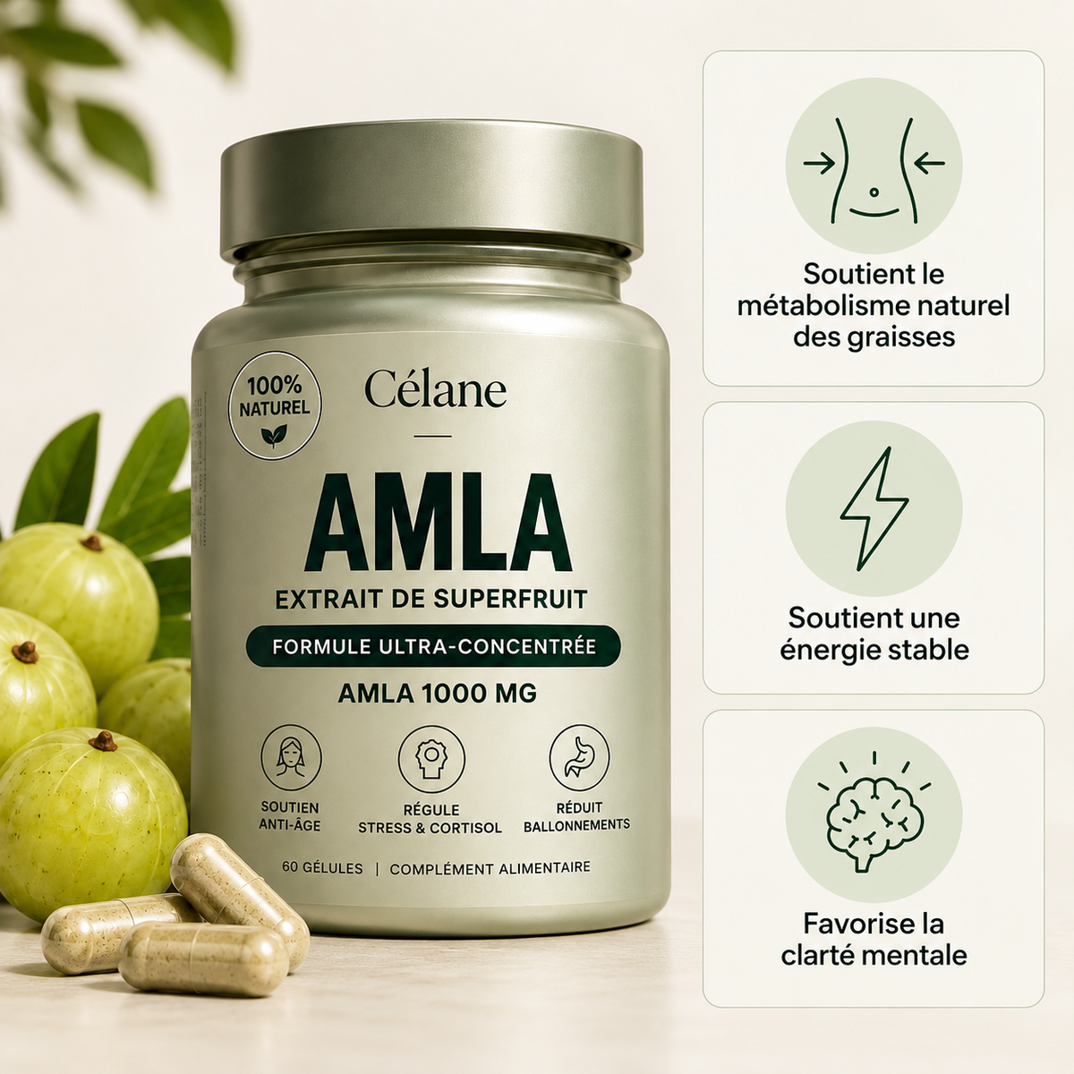 Gélule d'Amla Superfruit