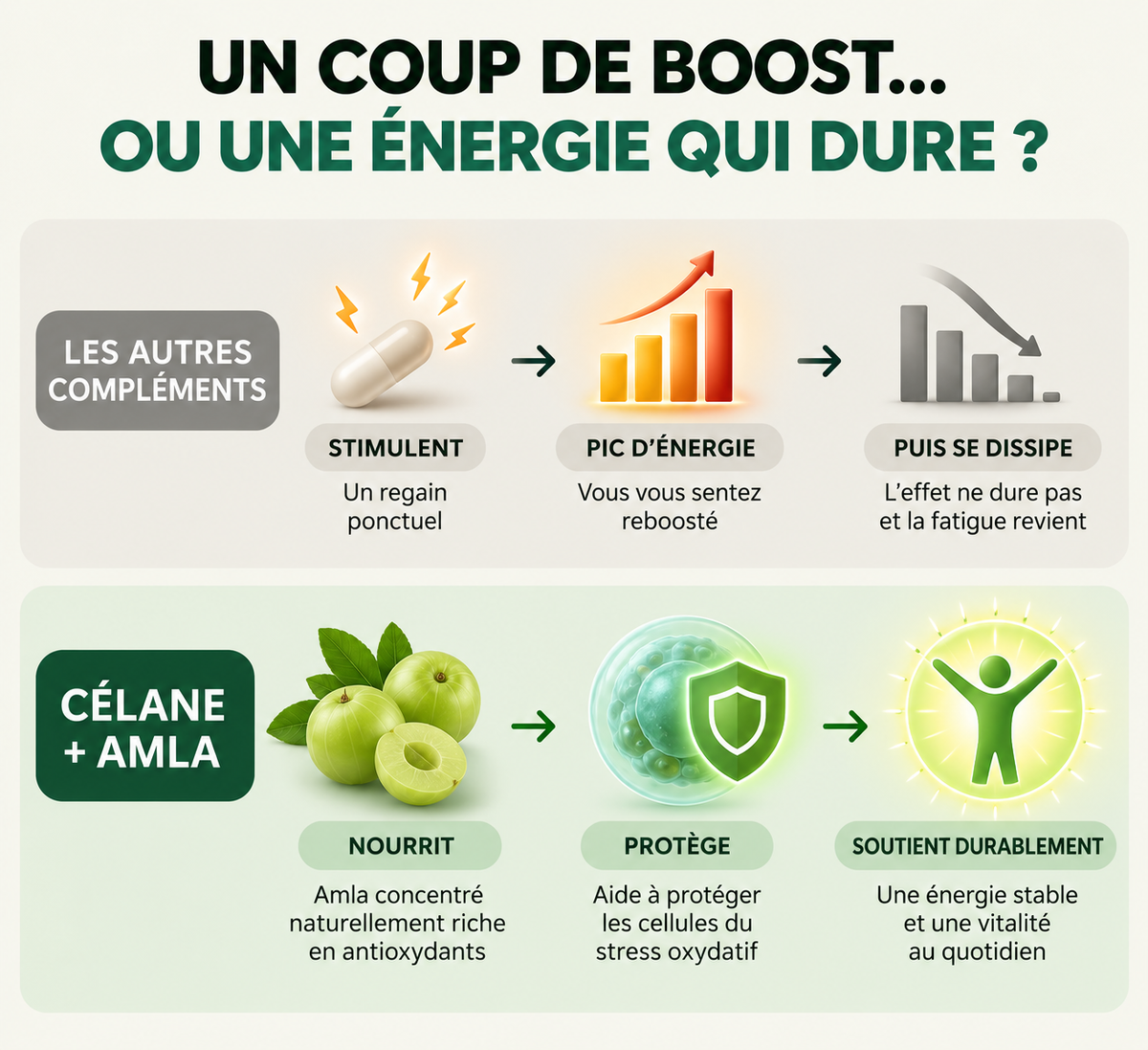 Gélule d'Amla Superfruit